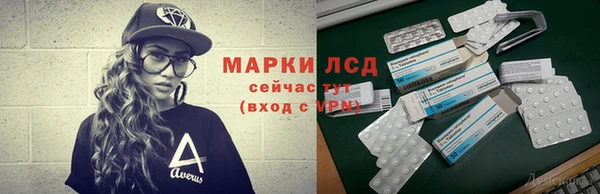 ГАЛЛЮЦИНОГЕННЫЕ ГРИБЫ Вяземский