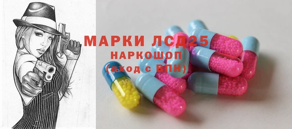 ГАЛЛЮЦИНОГЕННЫЕ ГРИБЫ Вяземский