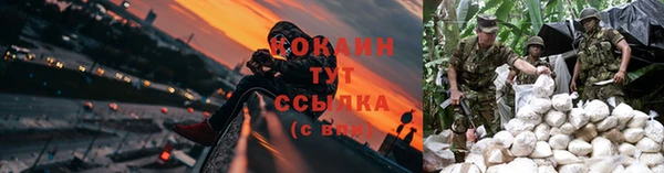 ГАЛЛЮЦИНОГЕННЫЕ ГРИБЫ Вяземский