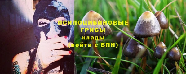 ГАЛЛЮЦИНОГЕННЫЕ ГРИБЫ Вяземский