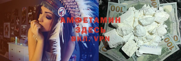 ГАЛЛЮЦИНОГЕННЫЕ ГРИБЫ Вяземский