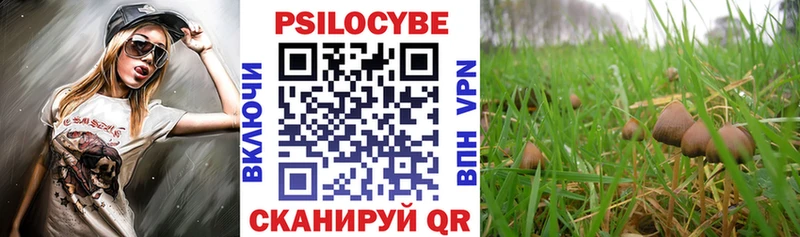 Галлюциногенные грибы прущие грибы  даркнет сайт  Ульяновск 